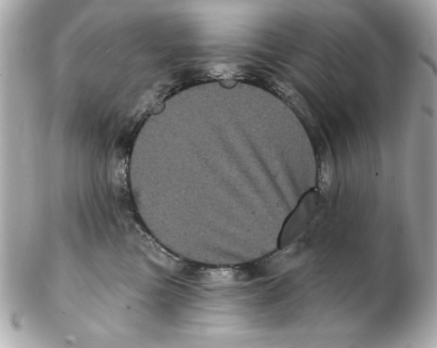 X0000102530473200808291824