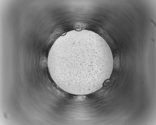 X0000102530474200808291824