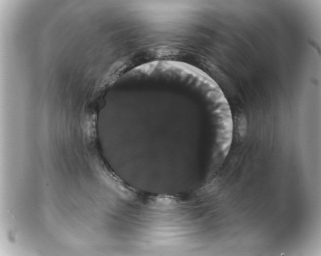 X0000102530475200808291824