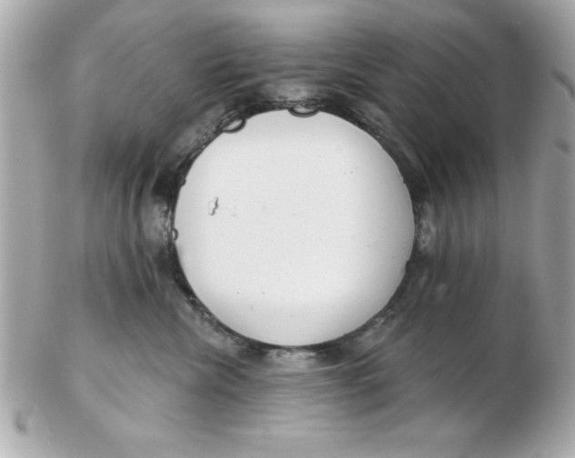 X0000102530476200808291824