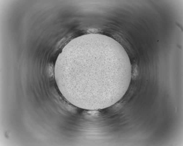 X0000102530478200808291824