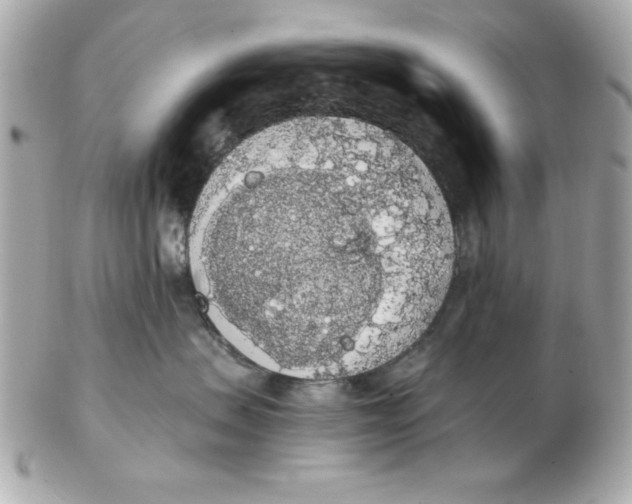 X0000102530479200808291824