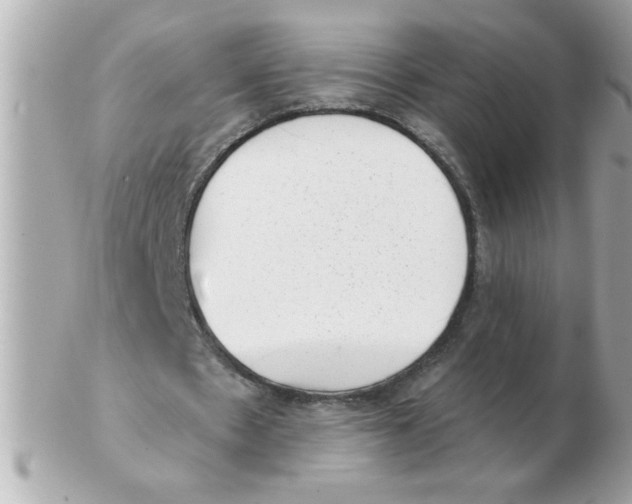 X0000102530481200808291823