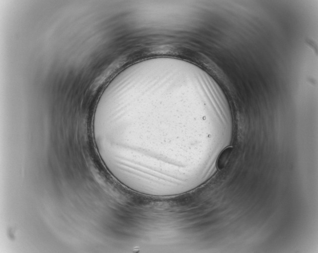 X0000102530482200808291823
