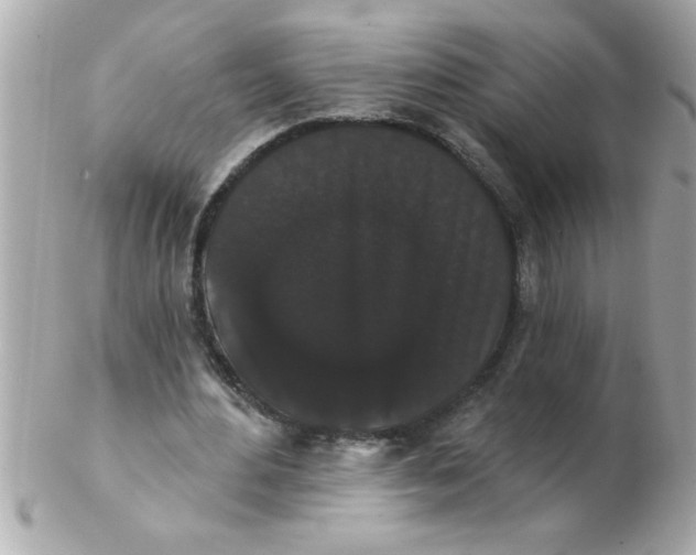 X0000102530484200808291823