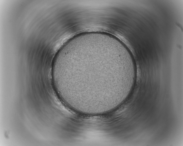 X0000102530485200808291823