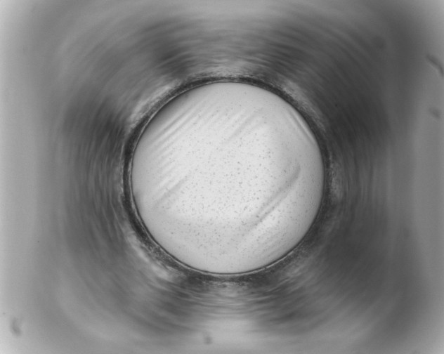 X0000102530486200808291823