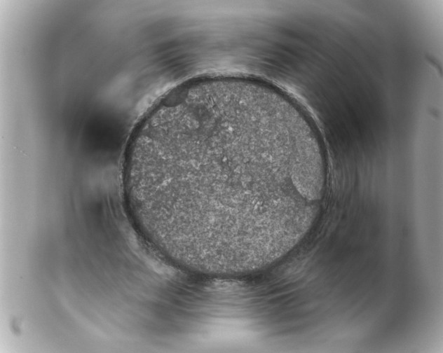 X0000102530487200808291823