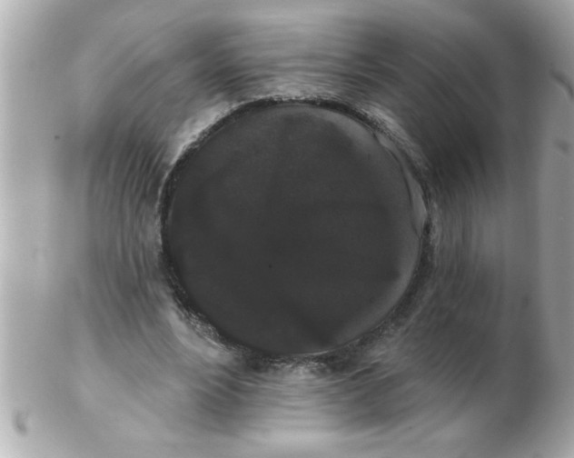 X0000102530488200808291823