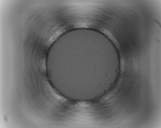 X0000102530489200808291823