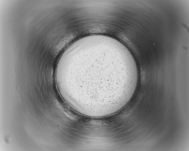 X0000102530490200808291823