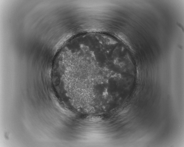X0000102530491200808291823