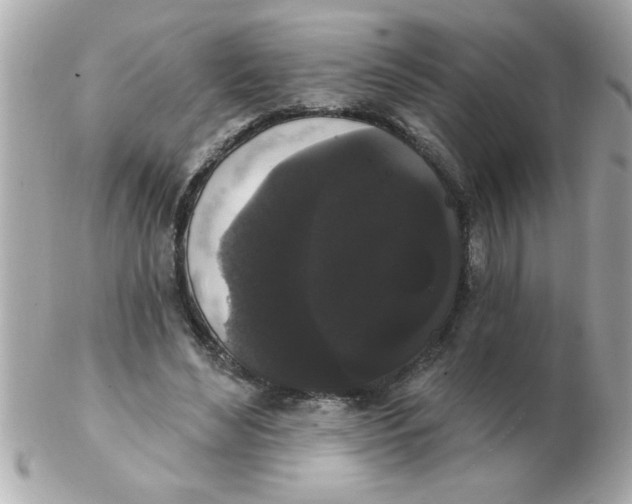 X0000102530492200808291823