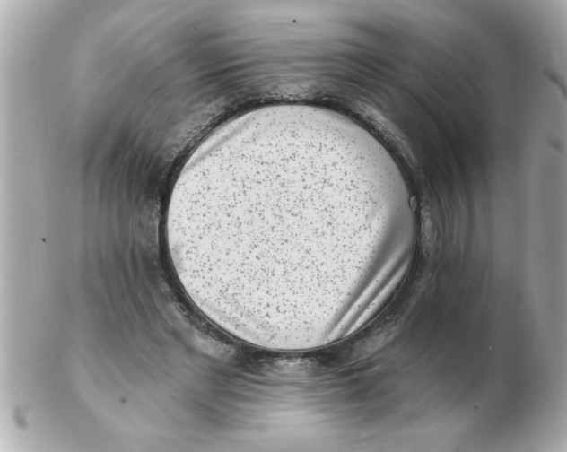 X0000102530493200808291823