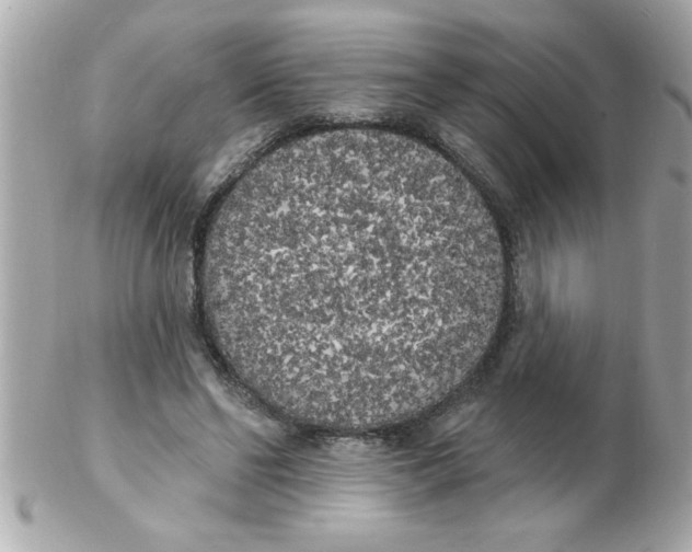 X0000102530494200808291823