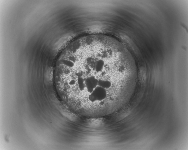 X0000102530495200808291823