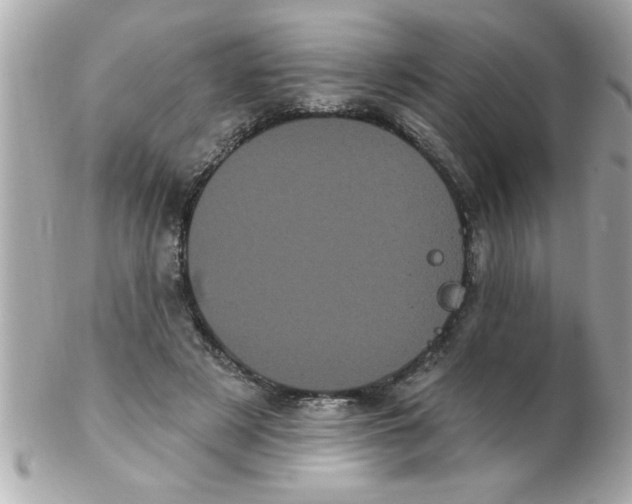 X0000102530497200808291823