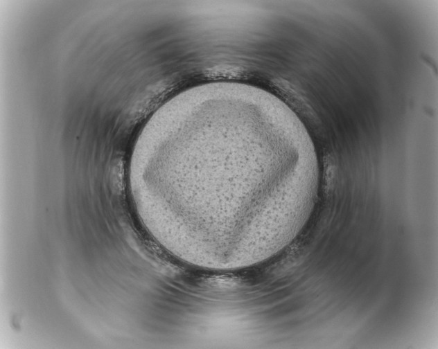 X0000102530498200808291823