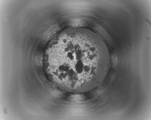 X0000102530499200808291823