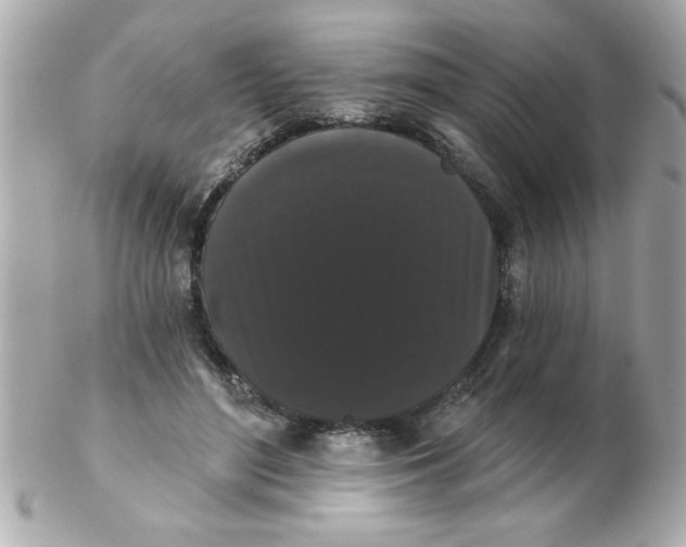 X0000102530500200808291823