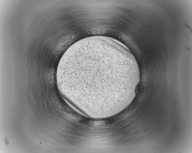 X0000102530501200808291823