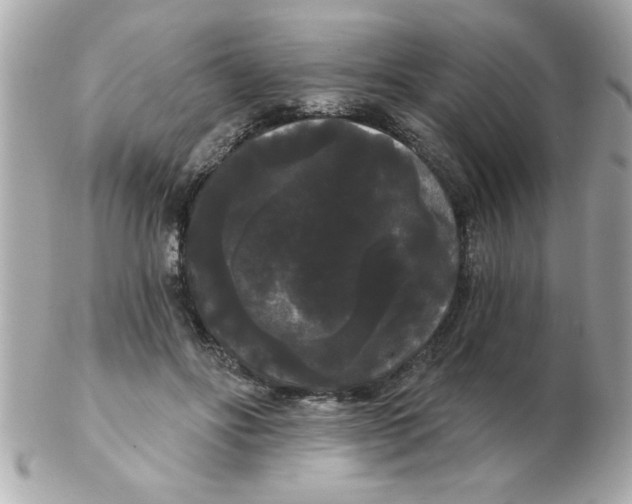 X0000102530502200808291823