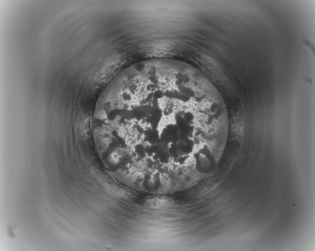 X0000102530503200808291823