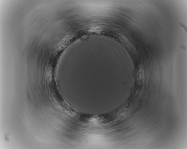 X0000102530504200808291823