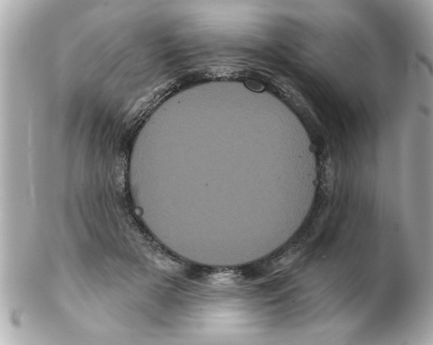 X0000102530505200808291823