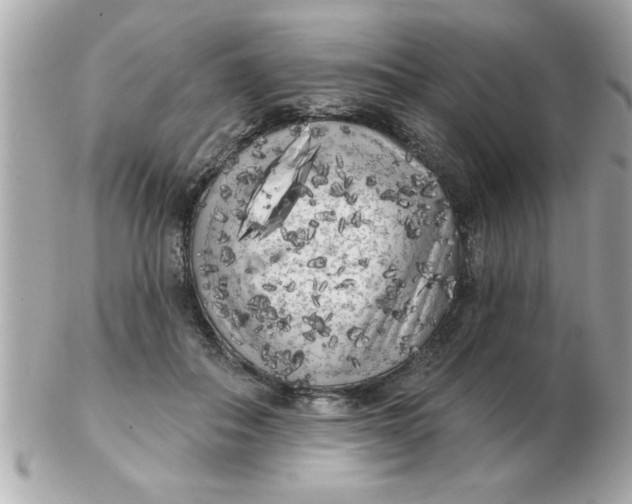 X0000102530506200808291823
