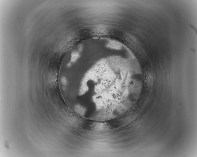 X0000102530507200808291823