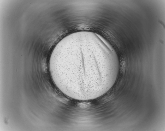 X0000102530508200808291823