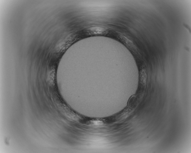 X0000102530509200808291823