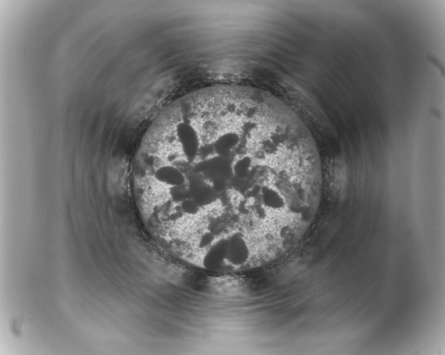 X0000102530511200808291823