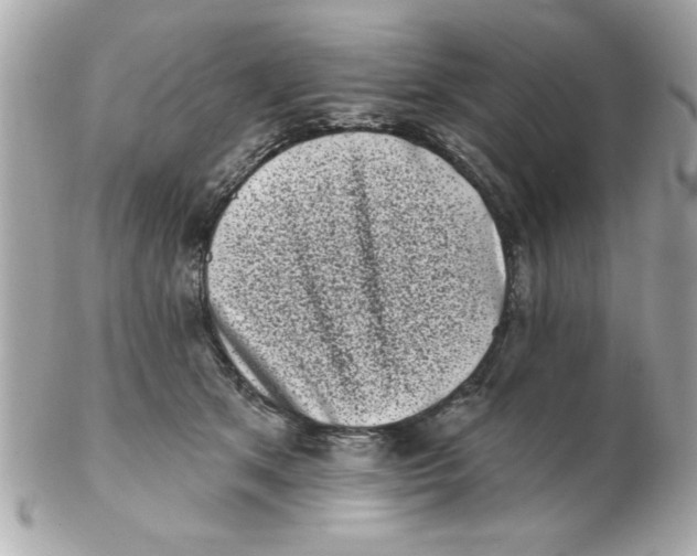 X0000102530513200808291823