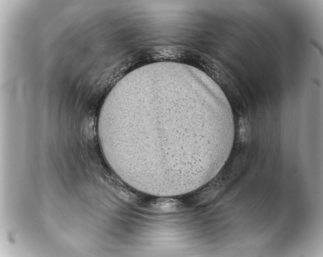 X0000102530514200808291823