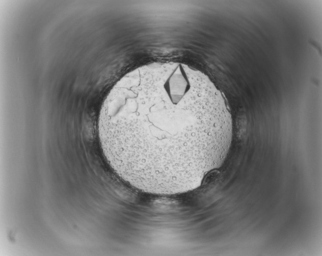 X0000102530515200808291823