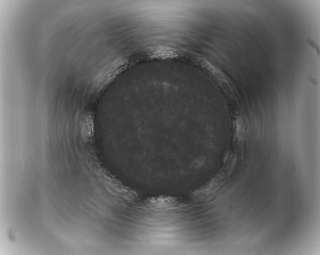 X0000102530517200808291823
