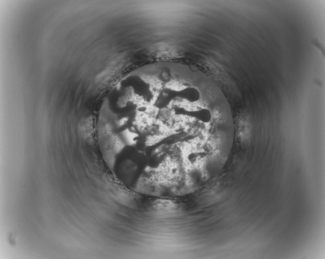 X0000102530519200808291823