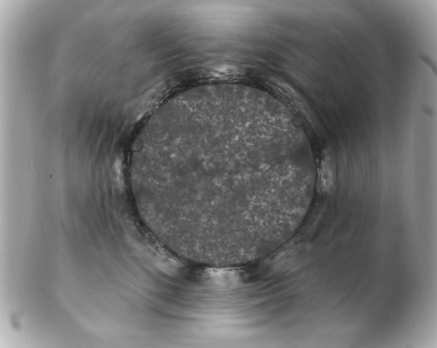 X0000102530520200808291823