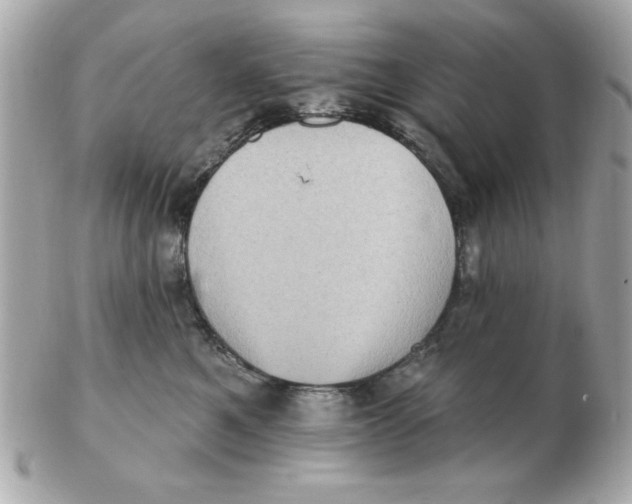 X0000102530521200808291823