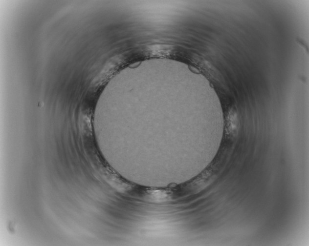 X0000102530522200808291823