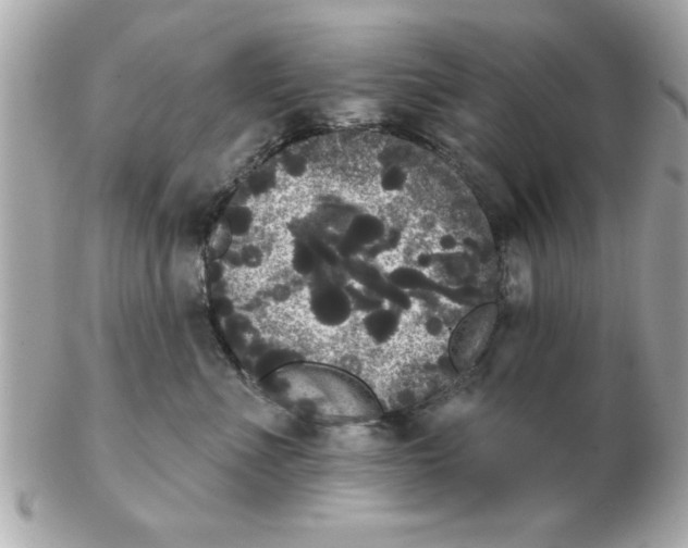 X0000102530523200808291823