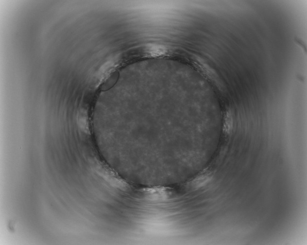 X0000102530524200808291823