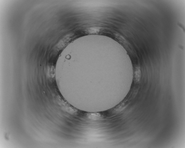 X0000102530525200808291823