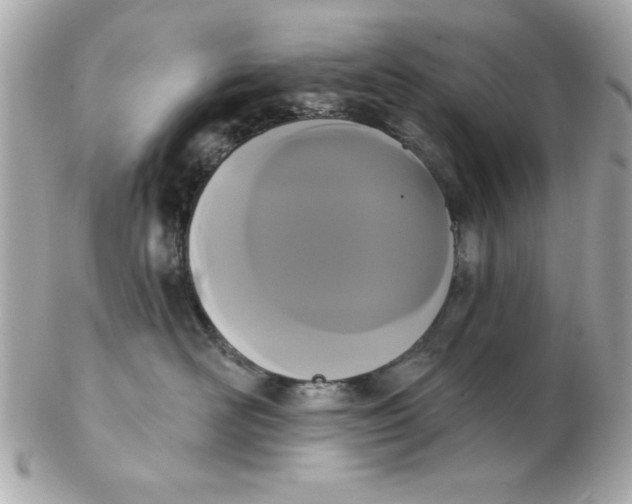X0000102530526200808291822