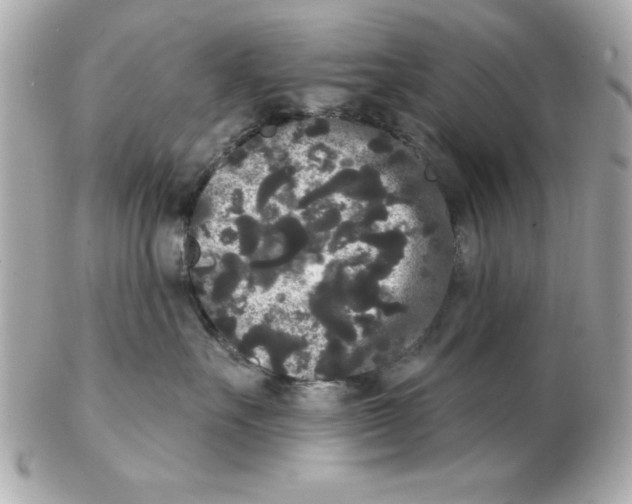X0000102530527200808291822
