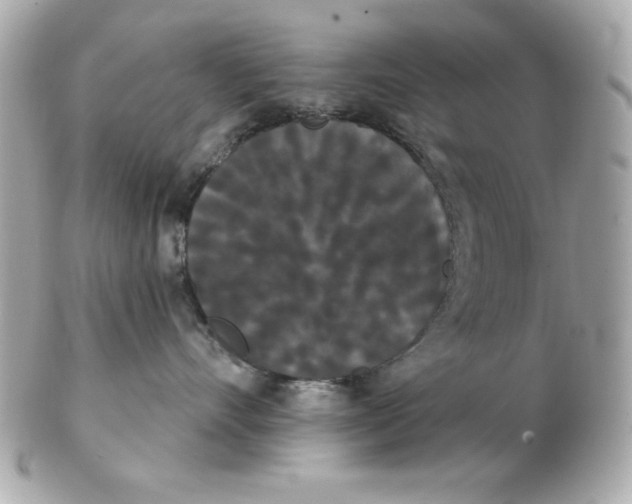 X0000102530528200808291822