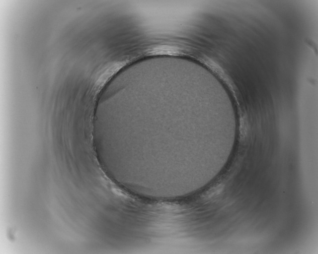 X0000102530529200808291822