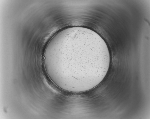 X0000102530530200808291822
